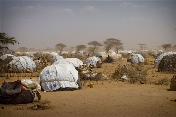  مقتل لاجئ يمني في مخيم بصوصو الصومالي على يد أحد الحراس التابعين للأمم المتحدة